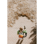 STIHL BR 200