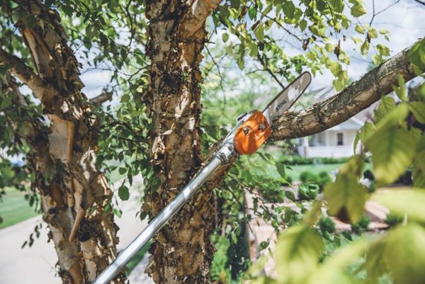 STIHL HT 135