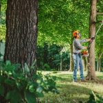 STIHL HT 250