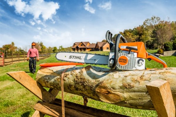 STIHL MS 250