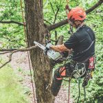 STIHL MSA 161 T