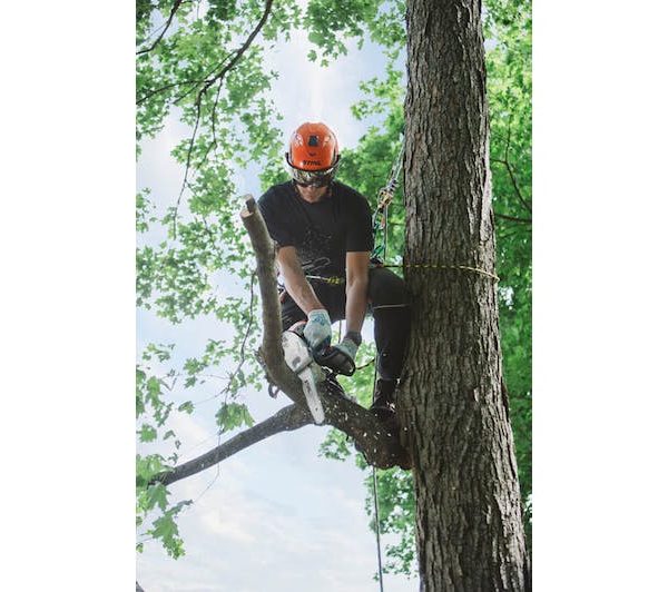 STIHL MS 151 T C-E