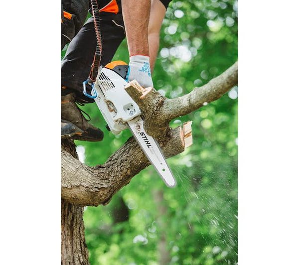 STIHL MS 151 T C-E