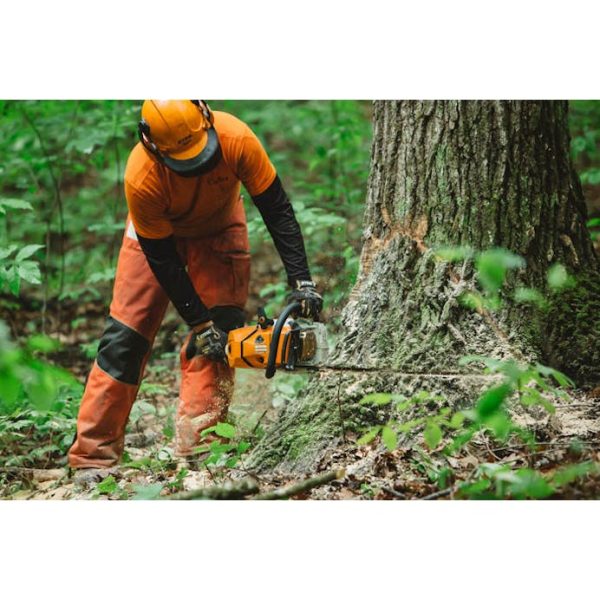 STIHL MS 500¡