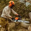 STIHL MS 261