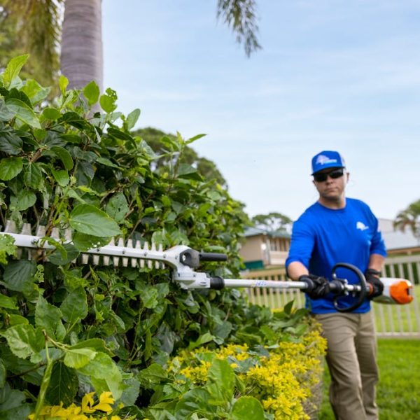 STIHL HLA 135 (145°)