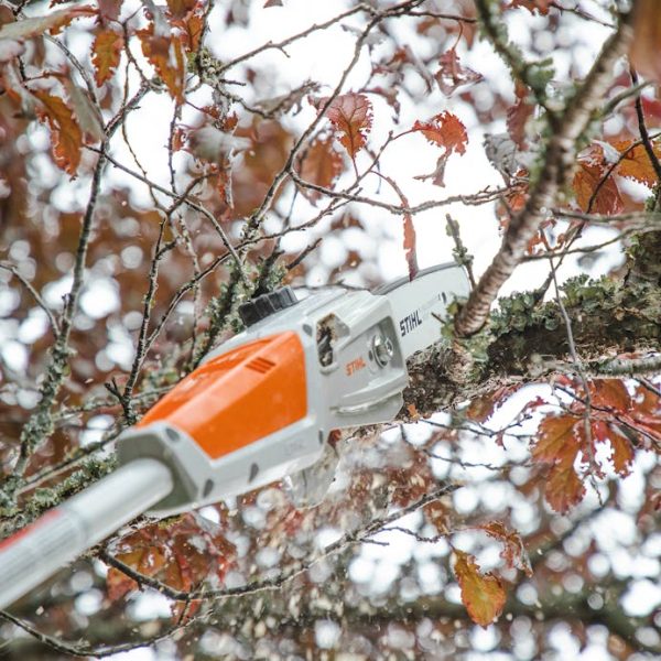 STIHL HTA 50