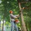 STIHL HT 250