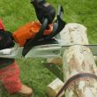 STIHL MS 162 Chainsaw