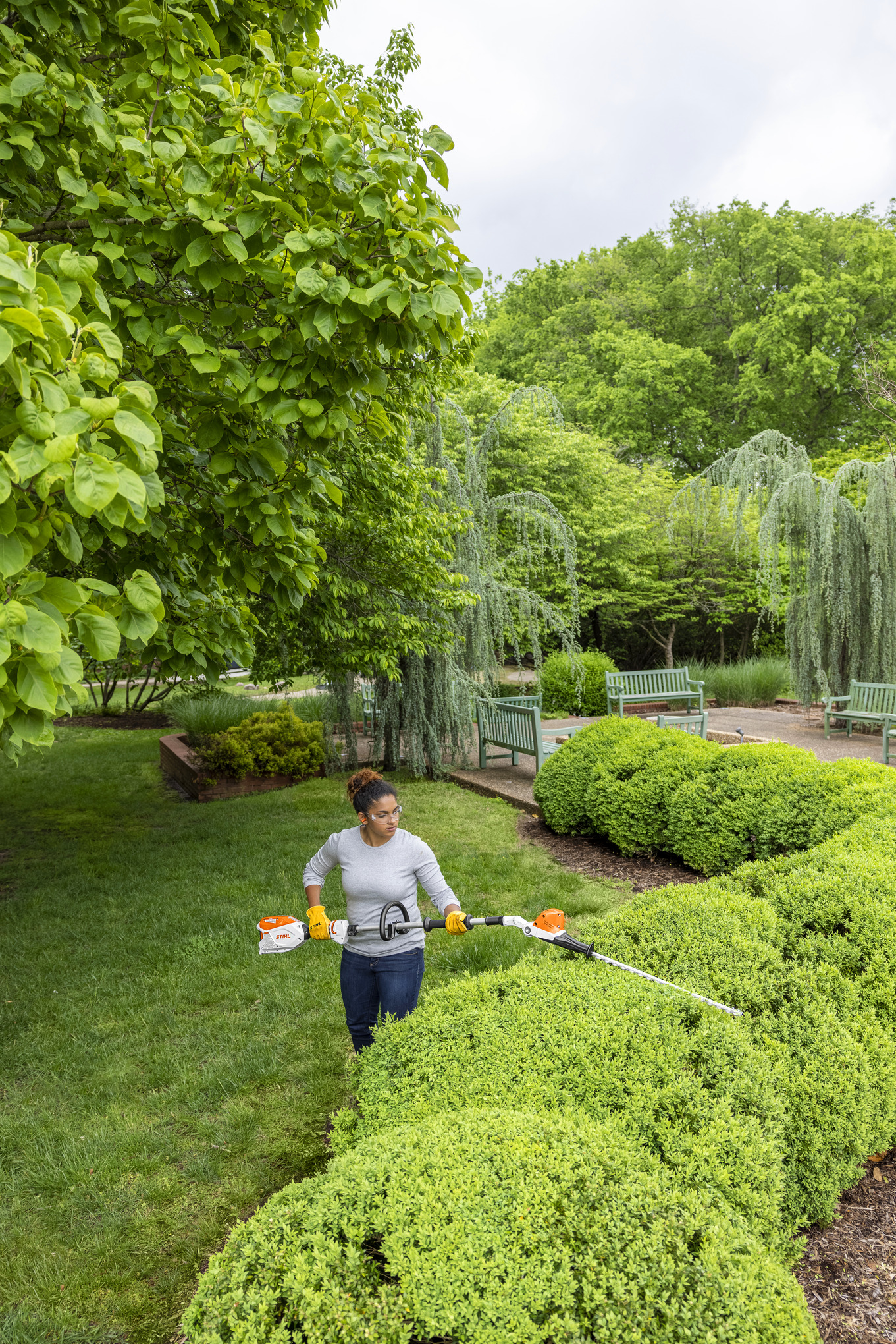 STIHL HLA 66 Battery Powered extended-reach Hedge Trimmer